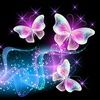 amandah264